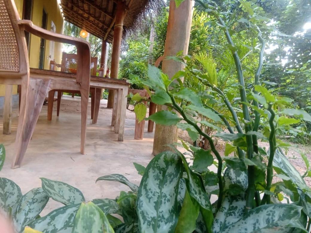 Kelaya At Hiriketiya Collection Dickwella Exterior photo