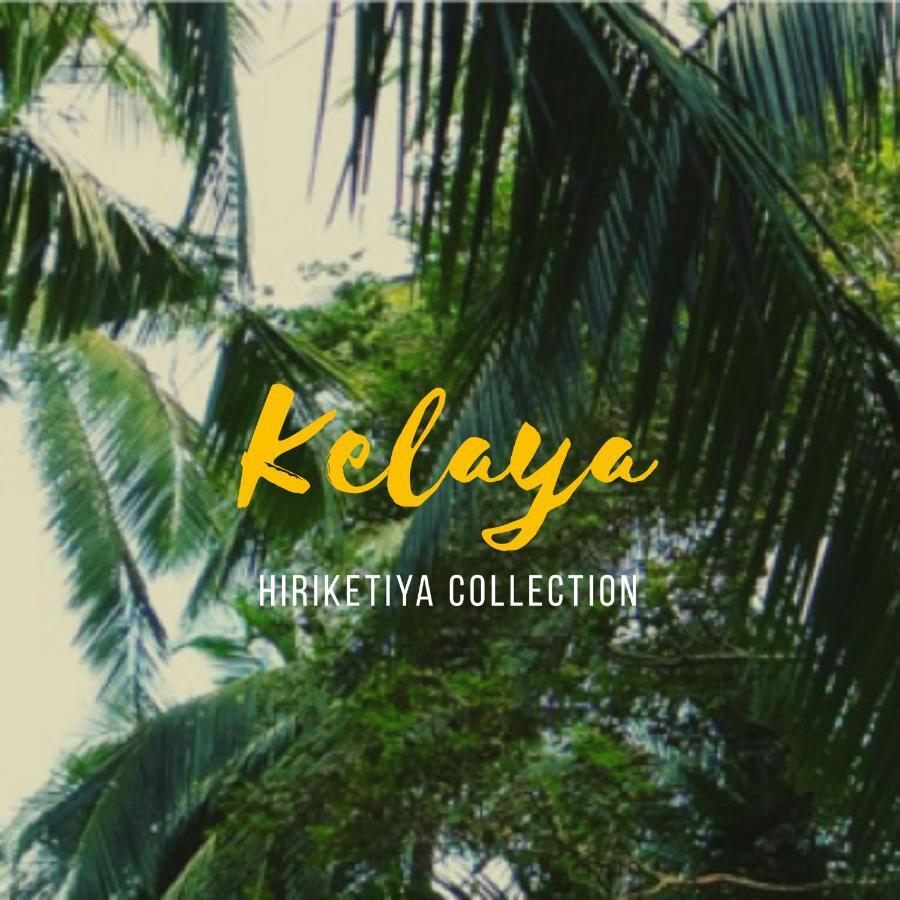 Kelaya At Hiriketiya Collection Dickwella Exterior photo