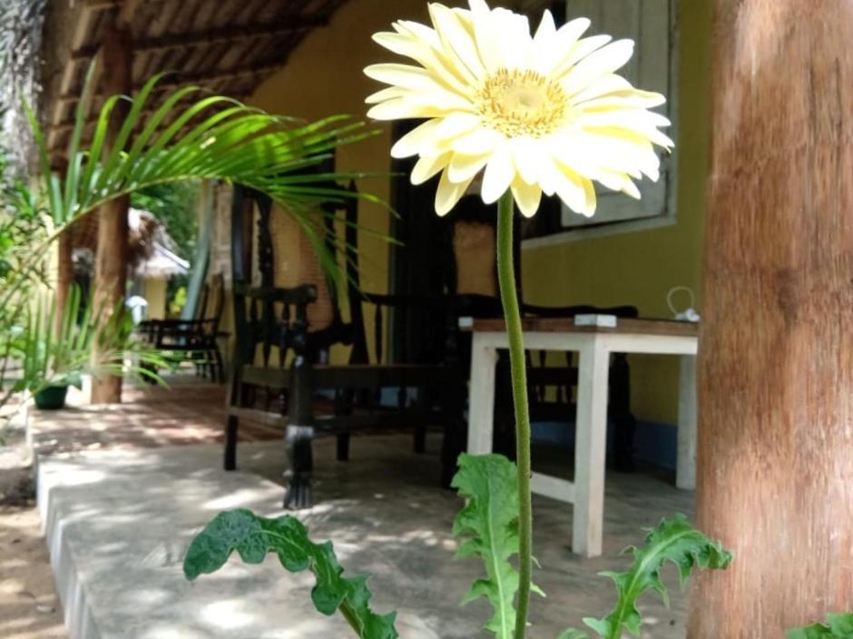 Kelaya At Hiriketiya Collection Dickwella Exterior photo